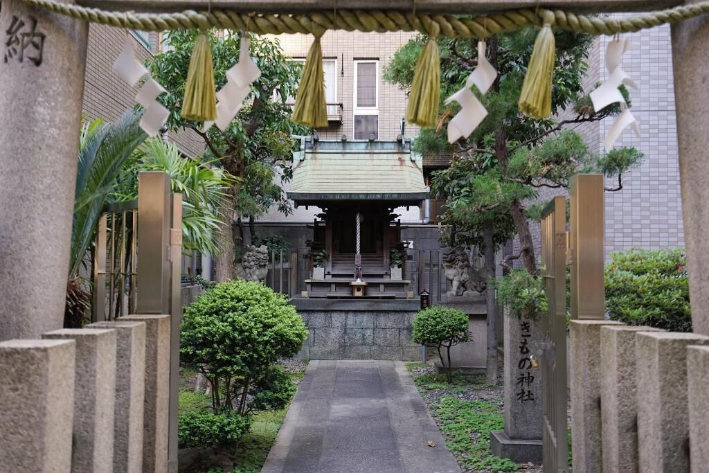 A traditional Japanese gate with a stone pathway leading through a garden.