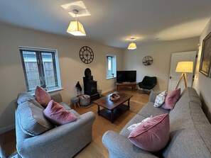 Televisión y chimenea 