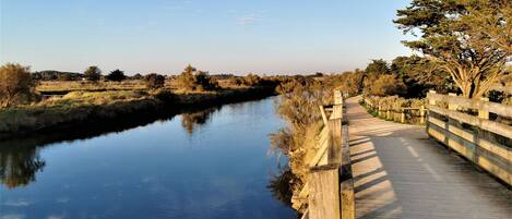 A wooden boardwalk beside a calm river, surrounded by trees and open fields.