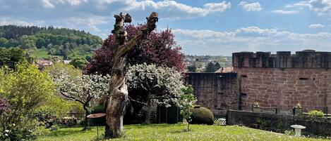 Área da propriedade