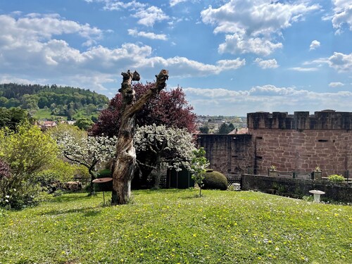 Ambiente Hirschgraben - helle Wohnung fußläufig zu Altstadt und Schloss
