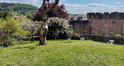 Ambiente Hirschgraben - helle Wohnung fuĂlĂ€ufig zu Altstadt und Schloss