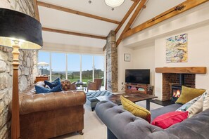 TV, caminetto, lettore DVD, libri