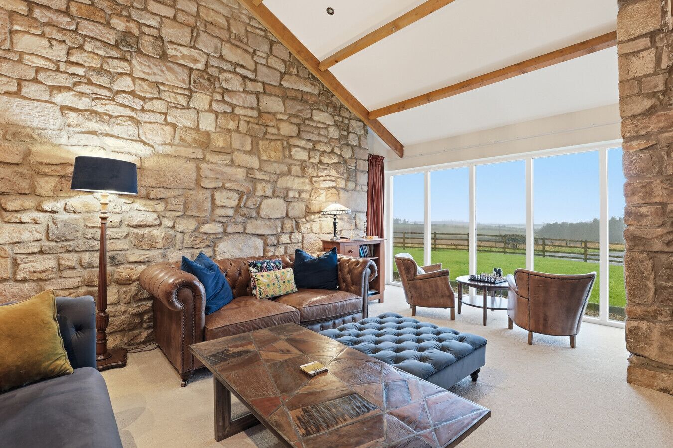 TV, fireplace, DVD player, books