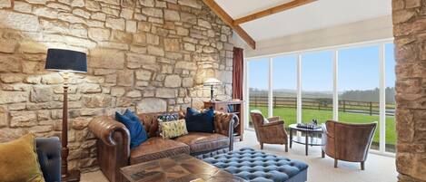 Fernseher, Kamin, DVD-Player, Bücher