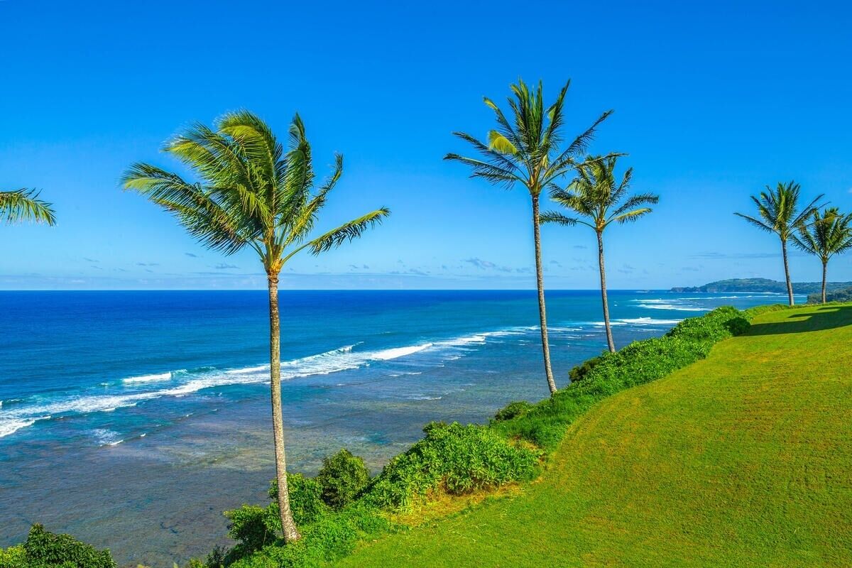 Appartement, 1 slaapkamer | Strand