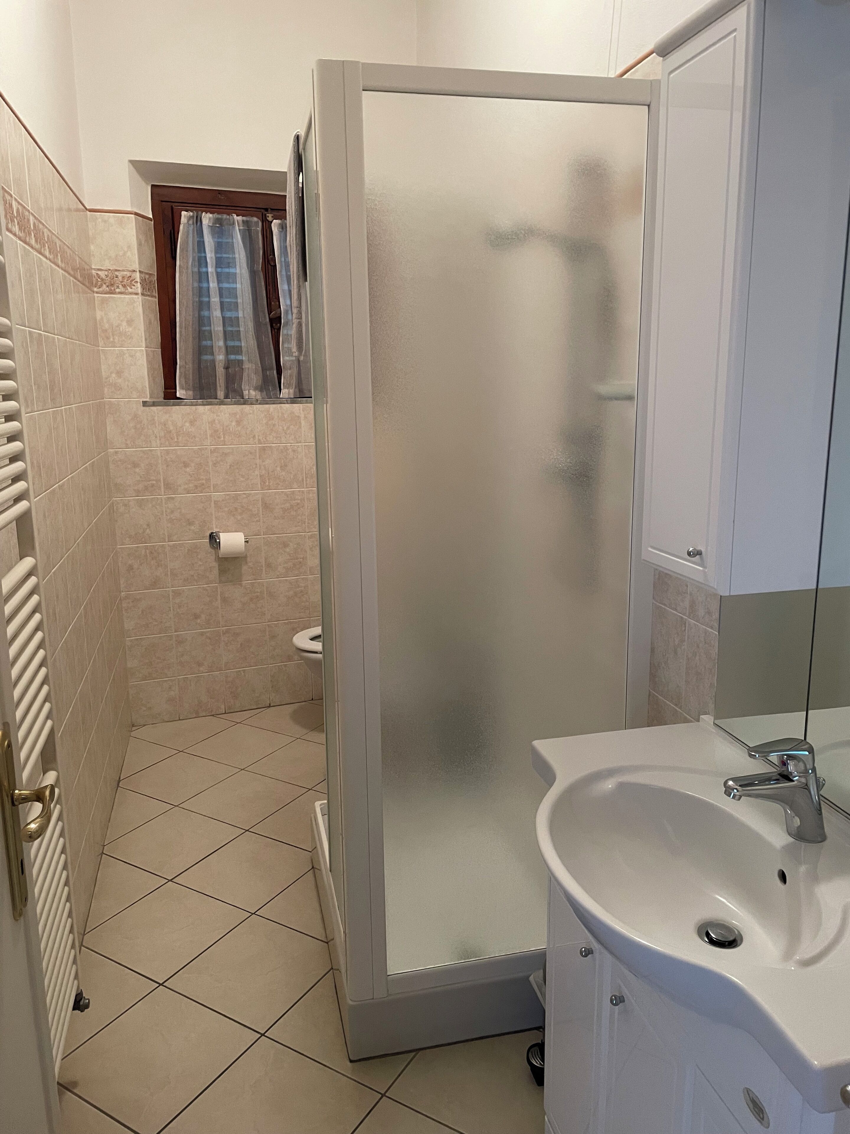 Shower, hair dryer, bidet, towels