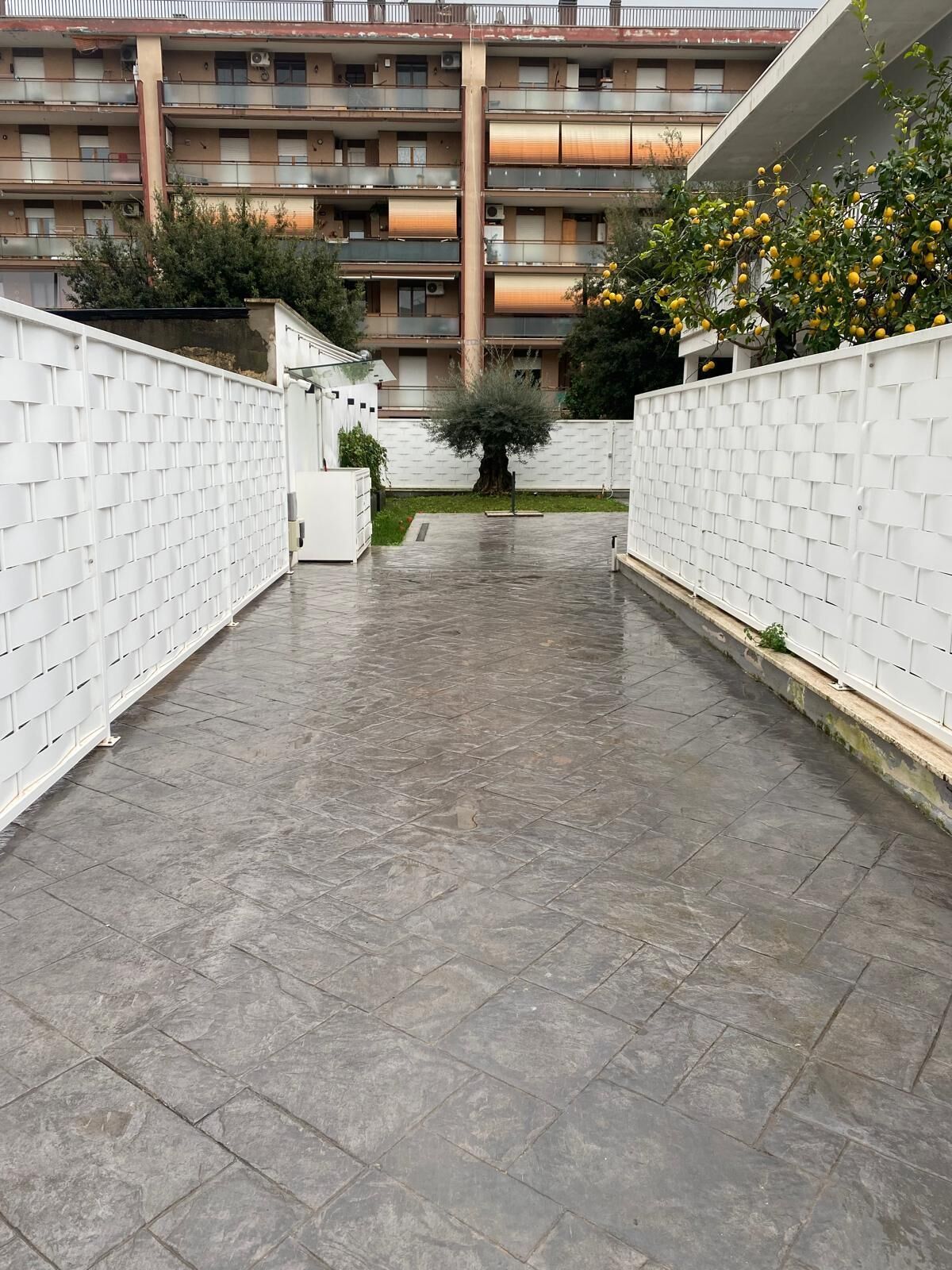 Área da propriedade