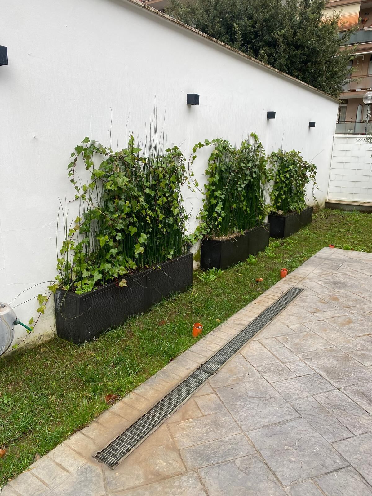 Área da propriedade