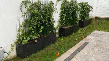 Área da propriedade