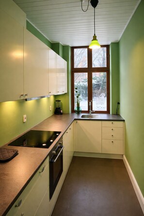 Oven, stovetop, cookware/dishes/utensils - Greenbrook Green Suites (Aalborg)