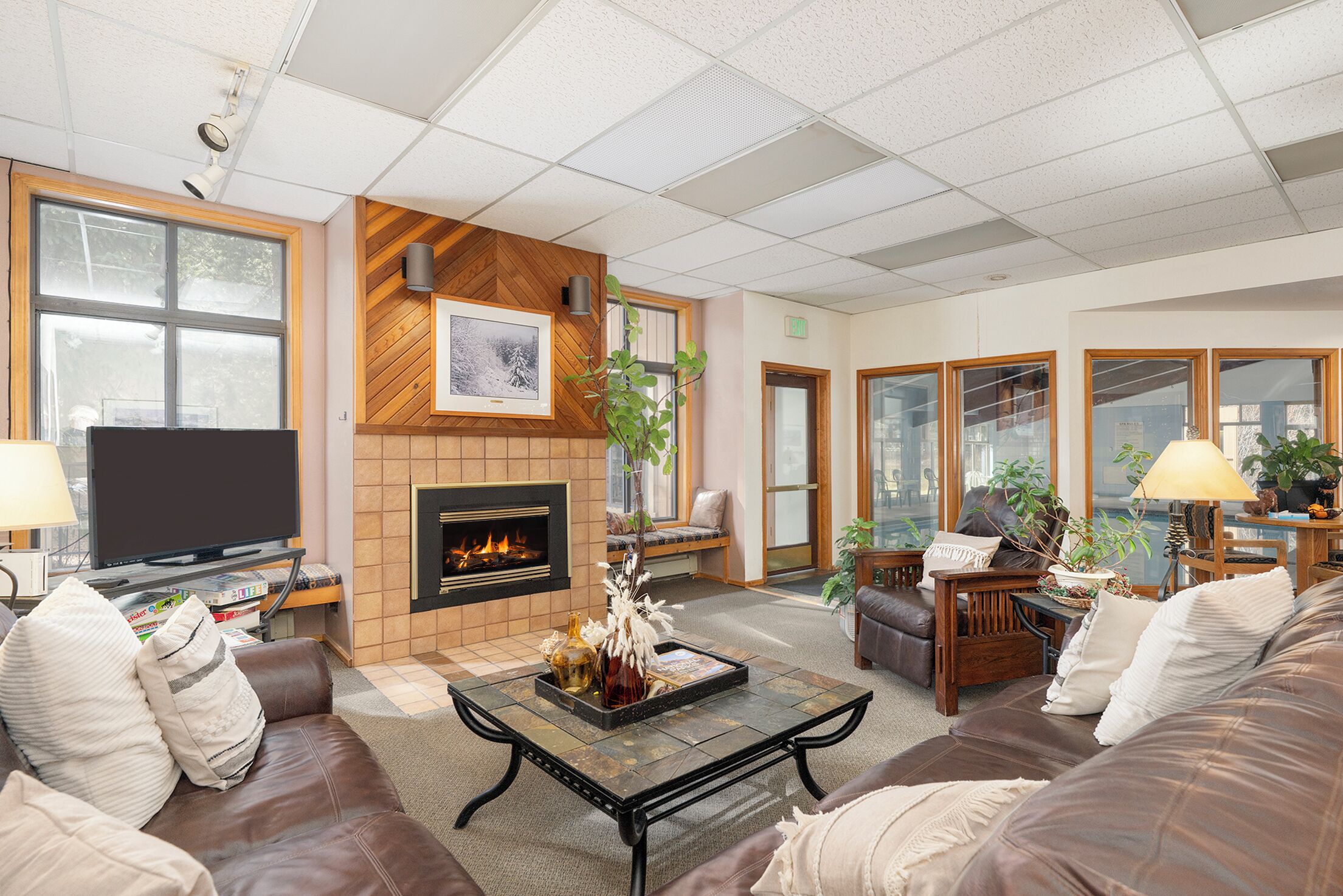 TV, fireplace