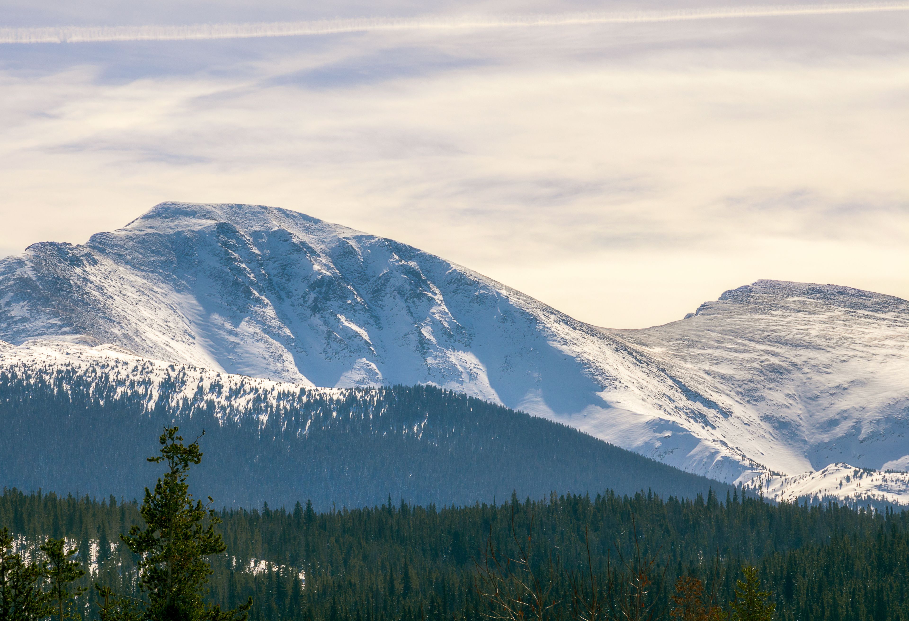 A snow-covered mountain with a forested foreground.