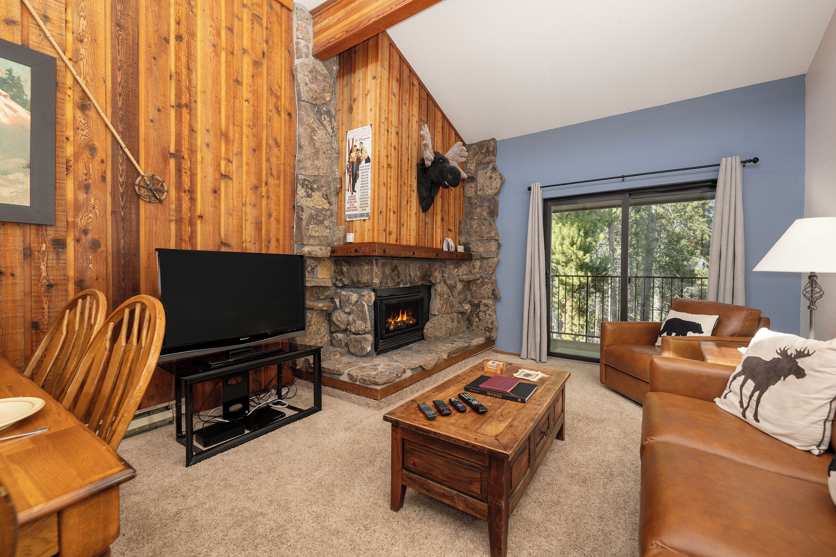 TV, fireplace