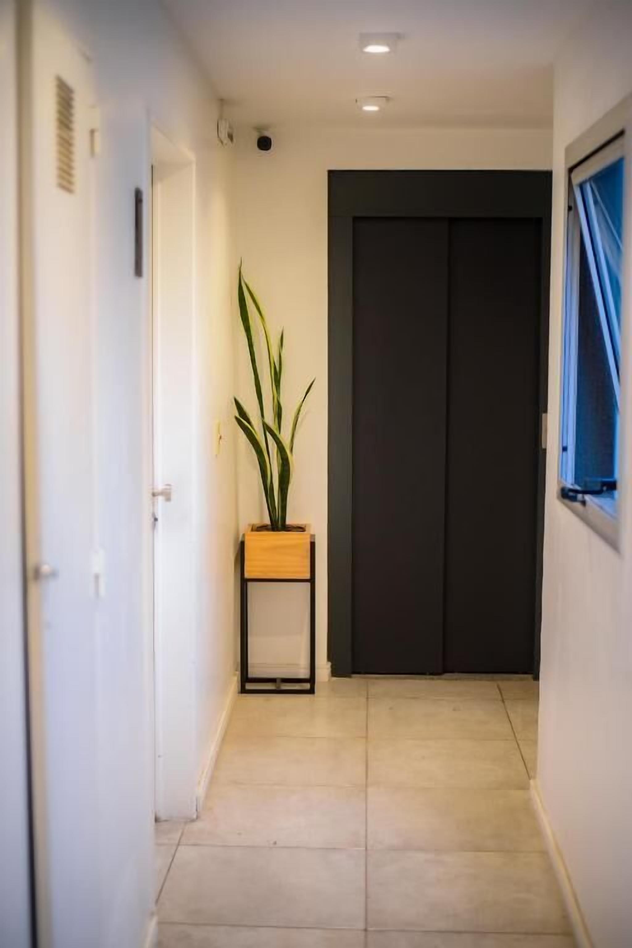 A hallway with a potted plant, a dark door, and a window with blue curtains.