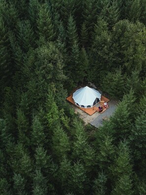 A single-room tent with a circular roof, surrounded by dense forest.