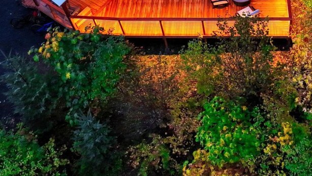 A circular wooden deck with a fire pit and seating area, surrounded by dense foliage. - Modern Luxury Yurt with Firepit Table & Skylit Dome near Carson, Washington (Carson)