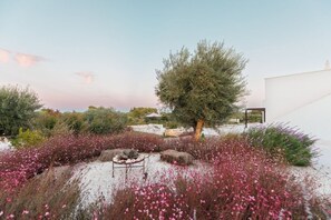 Property grounds - Villa Ninetta Ostuni (Ostuni)