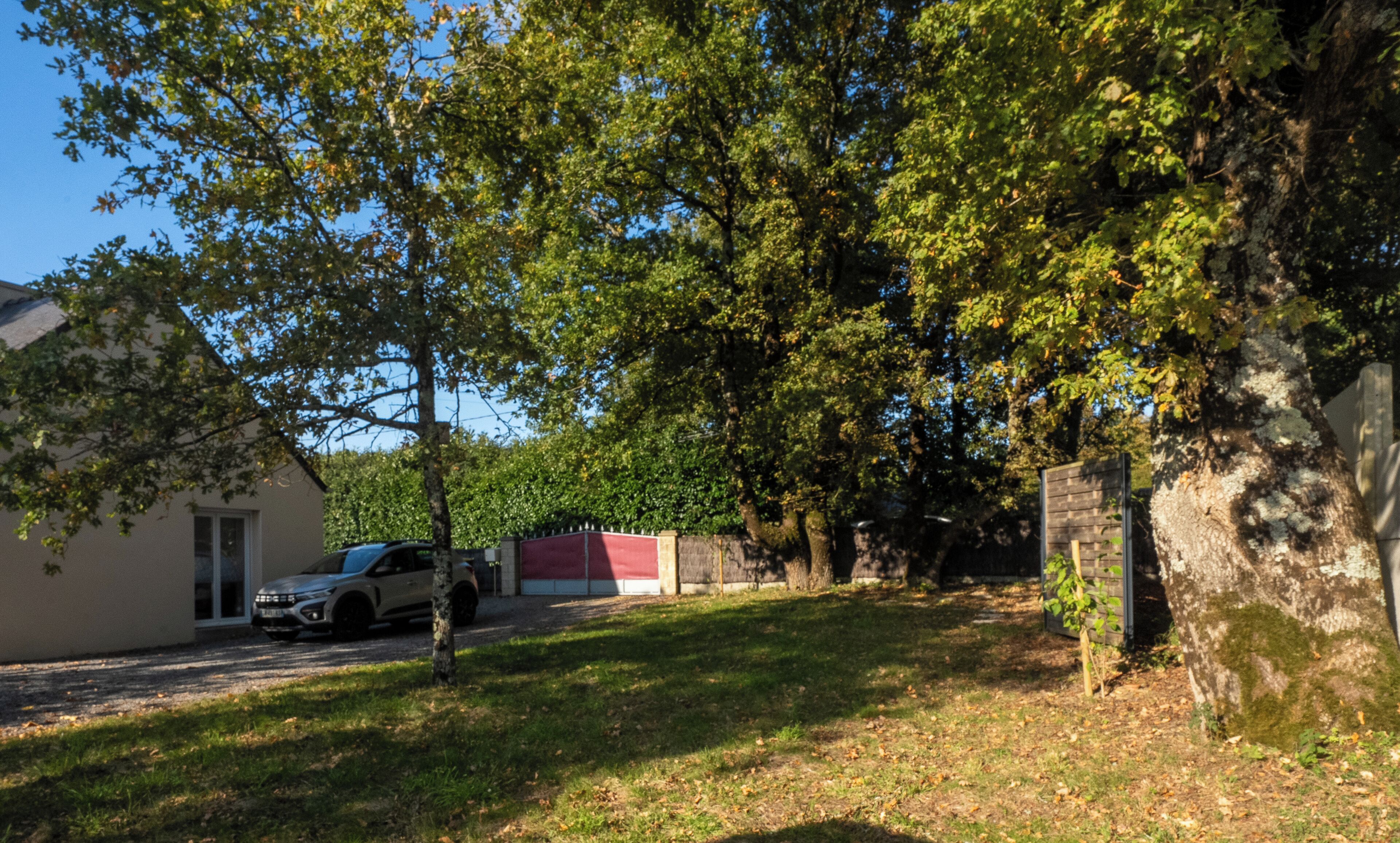 A residential area with a parked car, a house, and a large tree.