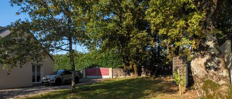 A residential area with a parked car, a house, and a large tree.