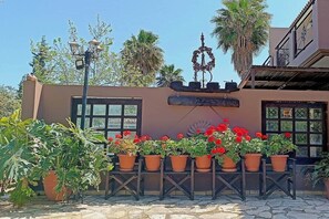 Property grounds - Galene Sea View Suite at Okeanis Katelios 10m to beach! (Τοπική Κοινότητα Μαυράτων)