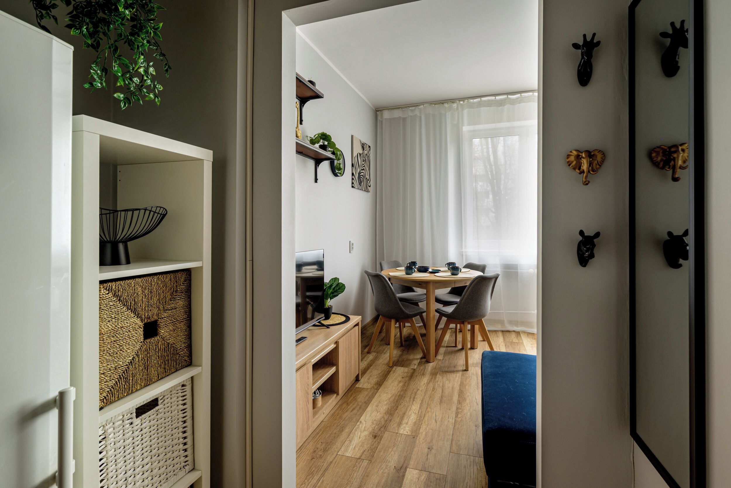 Studio | Living area