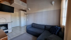 TV, fireplace - Villa Magnolia 2 - Comfy Villa for 8 with Private Sauna (Himos)