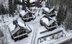 Exterior - Villa Magnolia 1 - Warm Cozy Villa with Finnish Sauna (Himos)