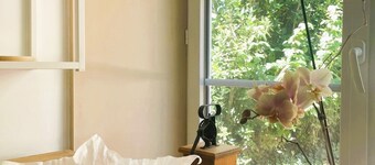 Good vibes only" guest house between Royan and Saintes