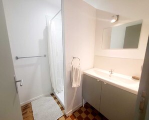 Shower, hair dryer, toilet paper