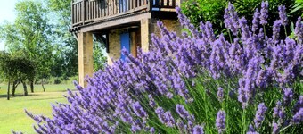 Hameau du jardin Fleuri near Bergerac - 10 gîtes, sleeps 40