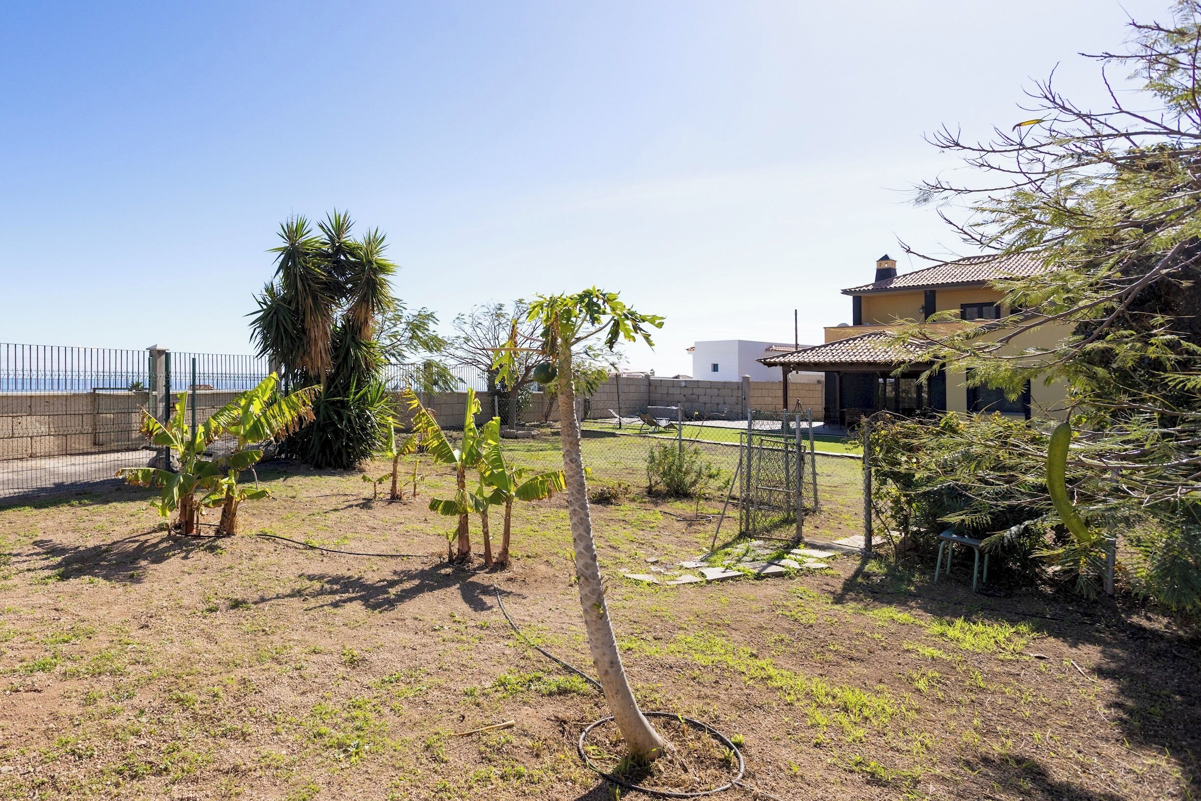 Un espace extérieur clos, agrémenté de jeunes arbres, d’un banc en métal et d’un bâtiment doté d’un toit en tuiles.