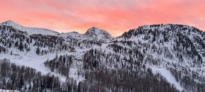 Eine gebirgige Landschaft mit schneebedeckten Gipfeln und dichten Wäldern.