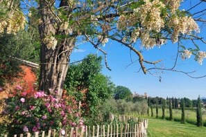 Terrain de l’hébergement 