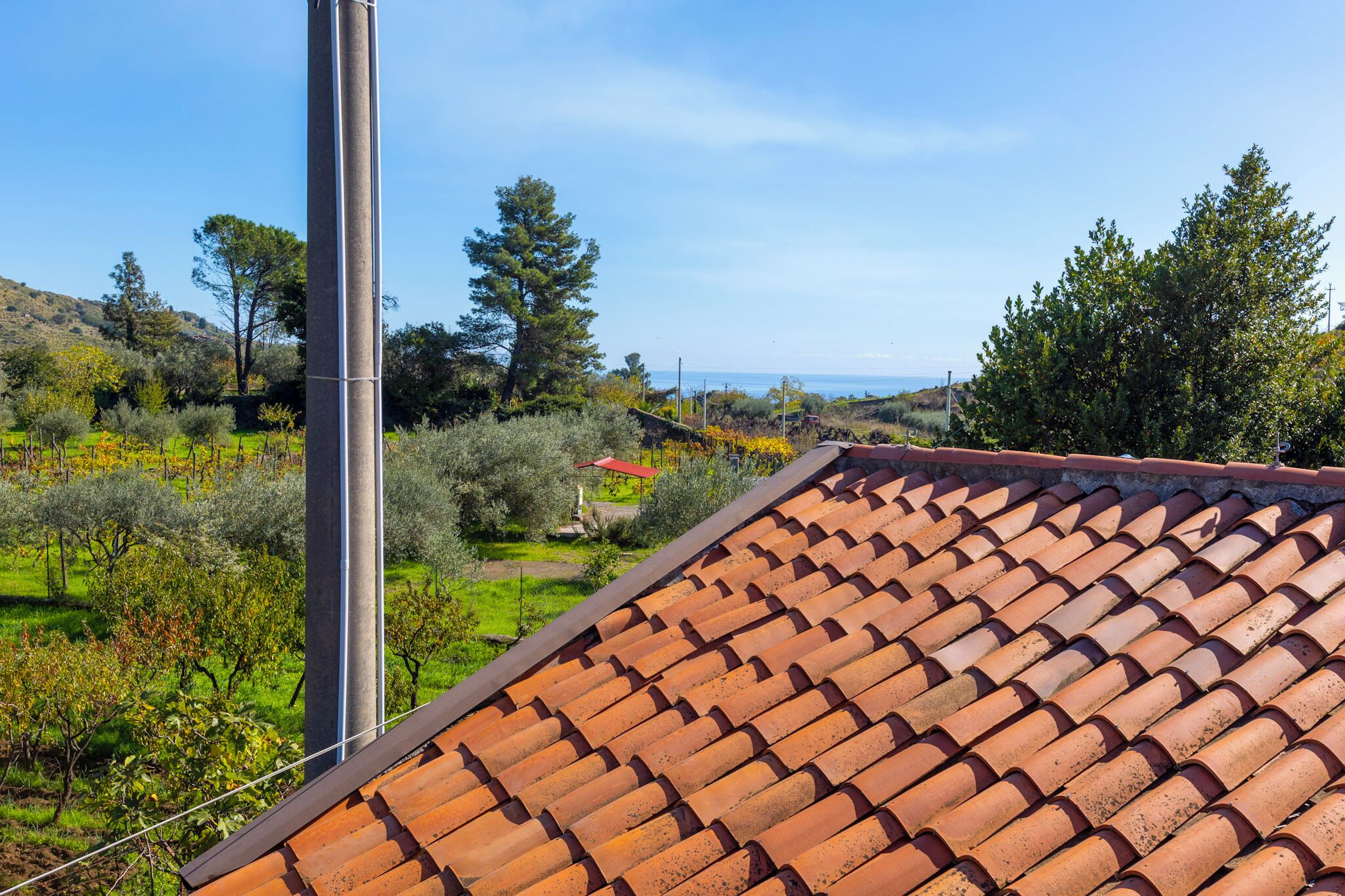 A terracotta-tiled roof, a tall metal pole, and a vineyard in the background.