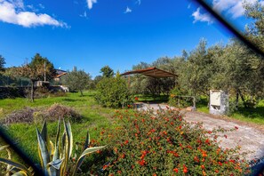 Garden - Vigna Dell'Etna (Piedimonte Etneo)