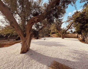 Garden - Villa Nana (Brindisi)