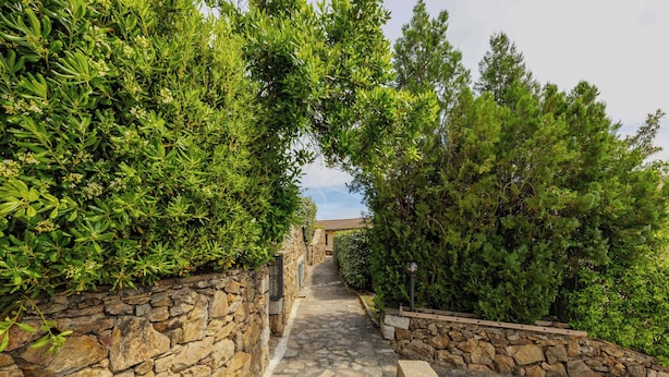 Un vialetto in pietra costeggiato da rigogliosa vegetazione, che conduce a un edificio con tetto in tegole.
