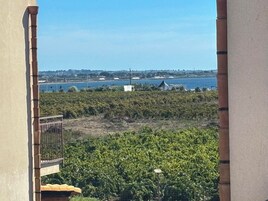 Vista di un vigneto con una distesa d'acqua e edifici sullo sfondo.