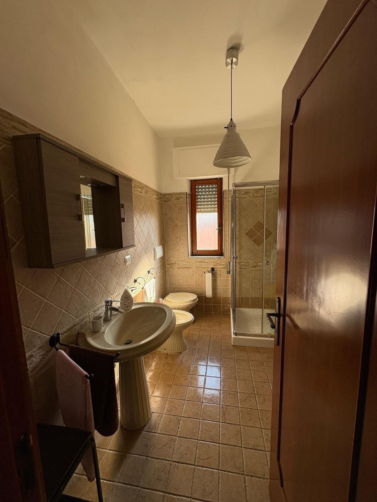 Hair dryer, bidet, towels, toilet paper