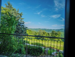 Un balcone con ringhiera in metallo che si affaccia su un paesaggio verde e rigoglioso e montagne lontane sotto un cielo azzurro.