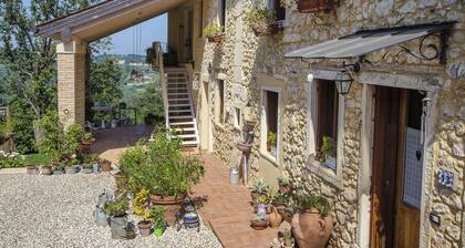 Ai due Gelsi - BioHouse nei Colli Berici