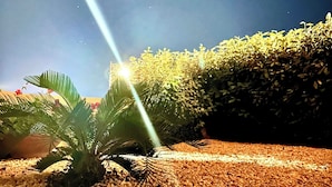 A nighttime outdoor area with a gravel path, a palm plant, and a hedge. - Casa A.Danieli (Olbia)