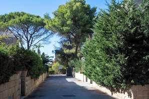 A paved pathway flanked by dense green trees and a stone wall. - Casa Onda (Maruggio)