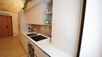 Mini-Kühlschrank, Herdplatte, Kochgeschirr/Geschirr/Besteck