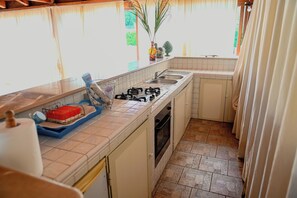 Full-size fridge, microwave, oven, stovetop - Villa Leproso (Benevento)