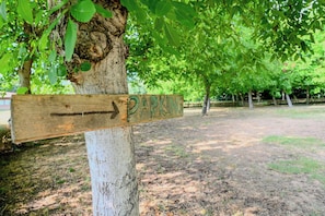 A wooden sign with the word "PARKING" and an arrow pointing to the right, indicating the direction to a parking area.