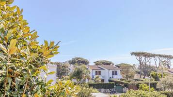 Vista dalla struttura