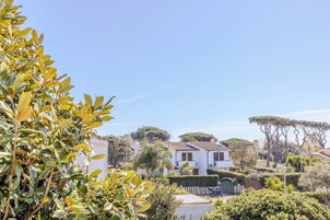 Vista desde la propiedad