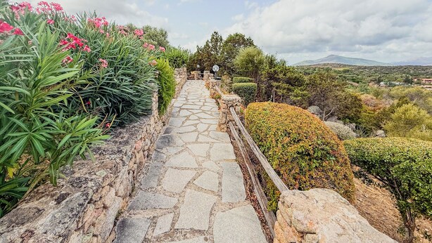 A stone pathway leading through a garden with various plants and shrubs. - Casa Puni (Olbia)